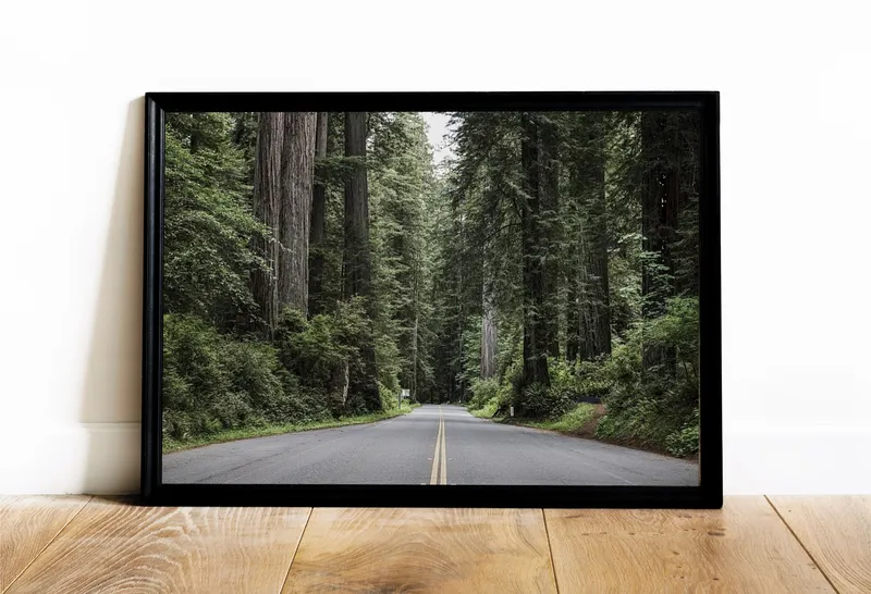 Постер «Национальный парк Рэдвув - Калифорния» над диваном в гостиной