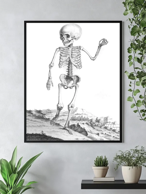Постер «Человеческий Скелет» над диваном в гостиной