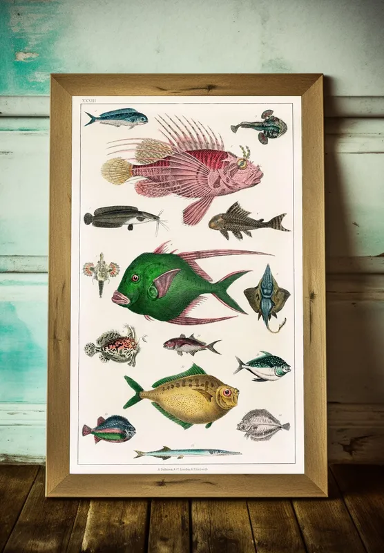 Постер «Рыбы - Глубоководные обитатели» на стене в офисе