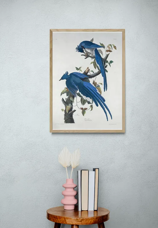 Постер «Джон Джеймс Одюбон - Сорочья Сойка» над диваном в гостиной