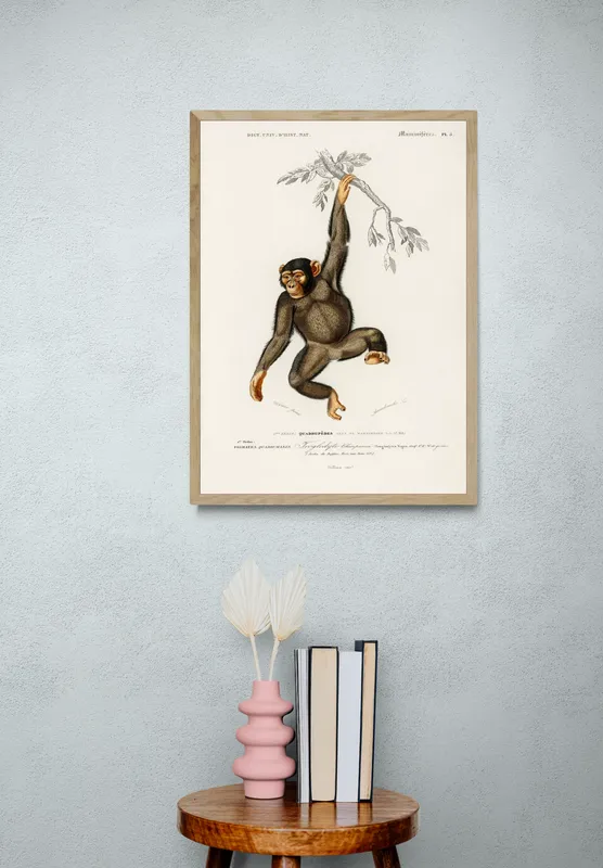 Постер «Шимпанзе» на стене в офисе