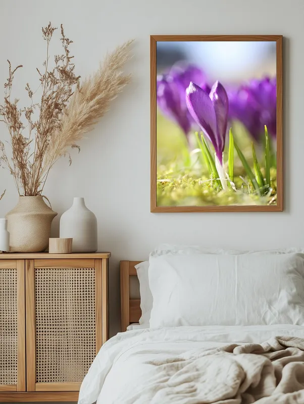 Постер «Нежные крокусы» на стене в офисе