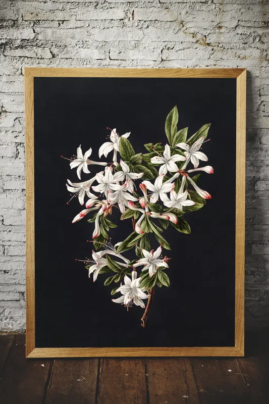 Постер «Ветка цветущей азалии» над диваном в гостиной