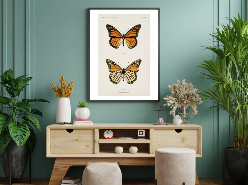 Постер «Постер с Бабочками» на стене в офисе