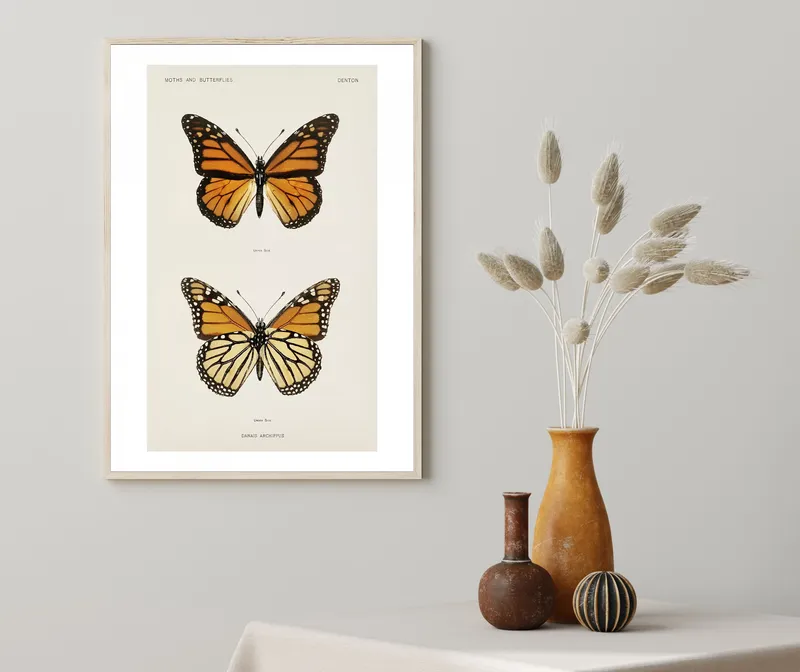 Постер «Постер с Бабочками» над диваном в гостиной