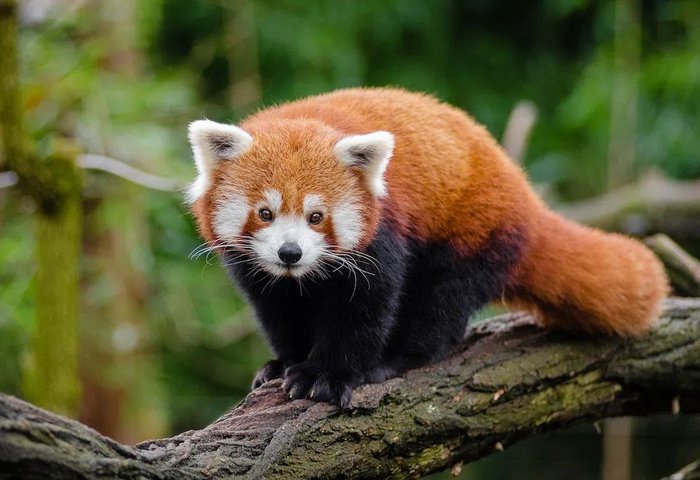 Calm & minimal mood — featured poster from ПростоПостер collection